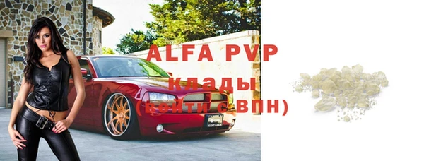 ГАЛЛЮЦИНОГЕННЫЕ ГРИБЫ Магас