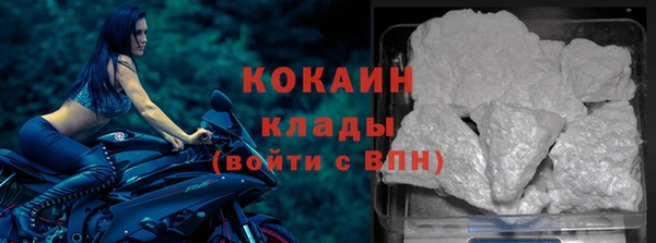 ГАЛЛЮЦИНОГЕННЫЕ ГРИБЫ Магас
