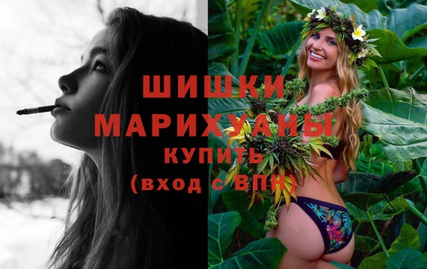крисы Медвежьегорск