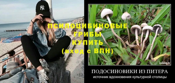 ГАЛЛЮЦИНОГЕННЫЕ ГРИБЫ Магас