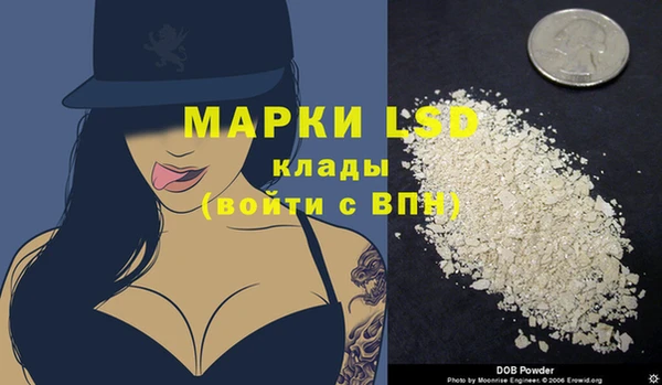 ГАЛЛЮЦИНОГЕННЫЕ ГРИБЫ Магас