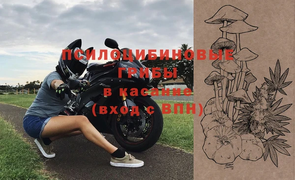 ГАЛЛЮЦИНОГЕННЫЕ ГРИБЫ Магас