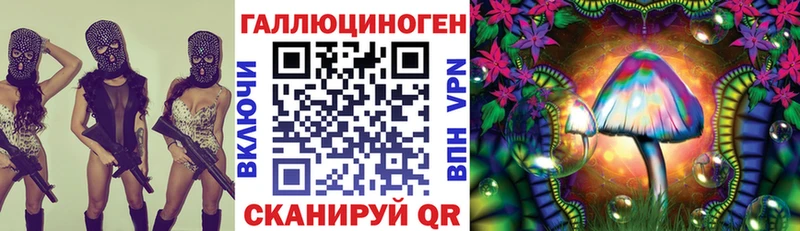 Галлюциногенные грибы Psilocybe  Купить где  Бор 