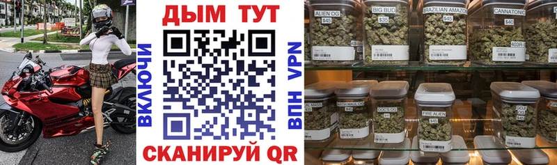 Канабис конопля  Купить где  Бор 